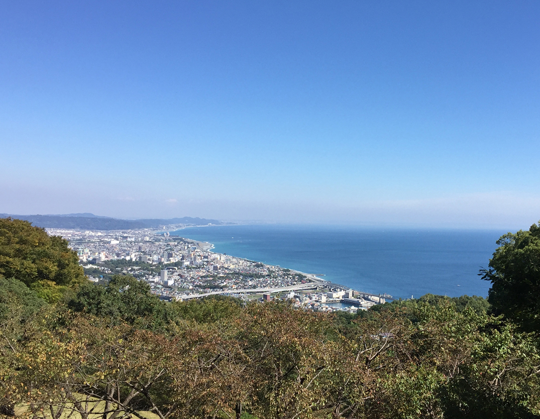 地域密着で厳選済み